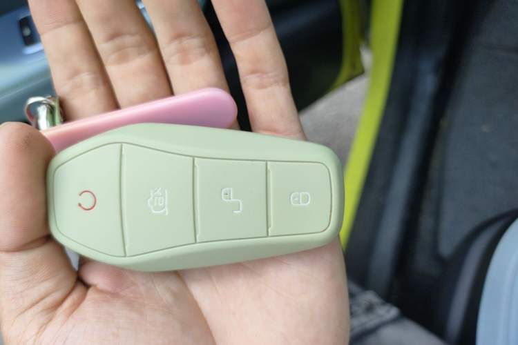 Used BYD Seagull 2023 Active Version Vehicle Key