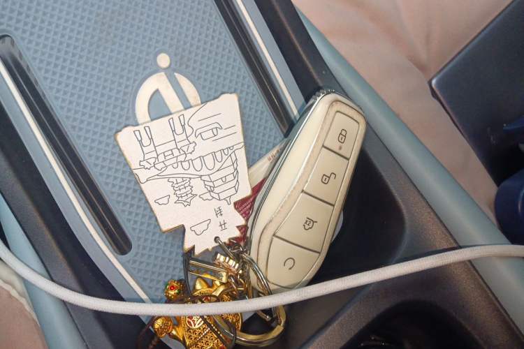 Used BYD Seagull 2023 Free Edition Vehicle Key