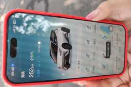 Thumbnail 20