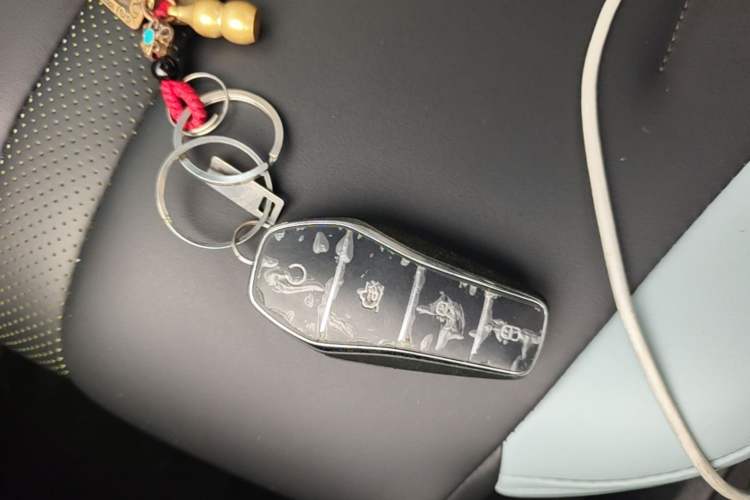 Used BYD Seagull 2023 Flying Edition Vehicle Key