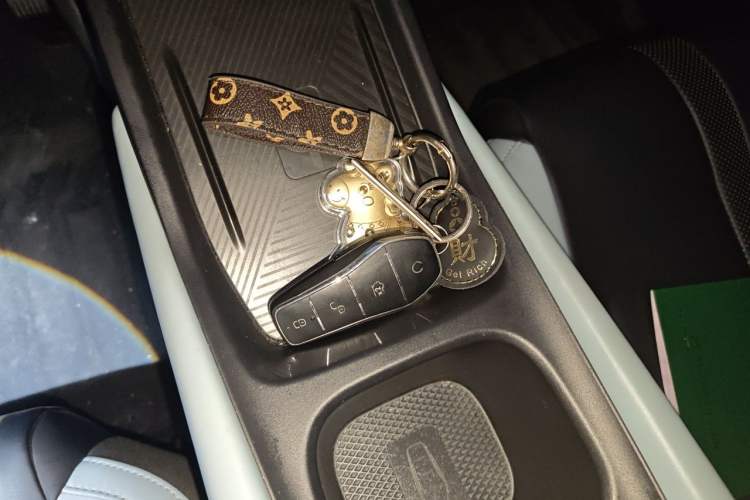 Used BYD Seagull 2023 Free Edition Vehicle Key