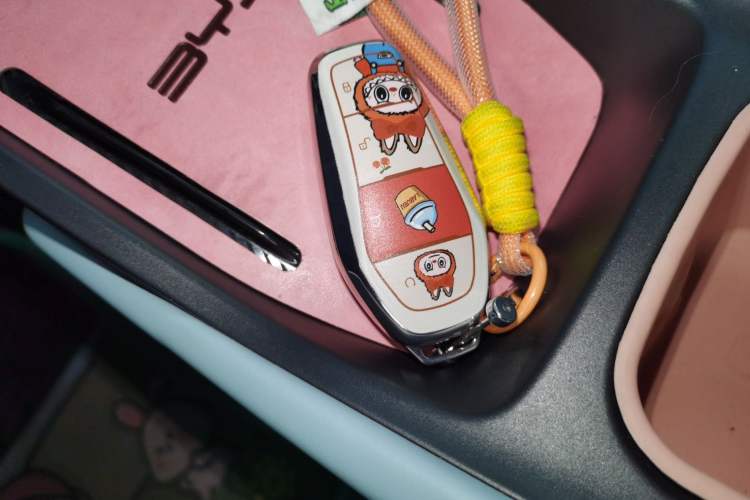 Used BYD Seagull 2023 Free Edition Vehicle Key