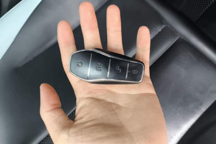 Used BYD Seagull 2023 Flying Edition Vehicle Key