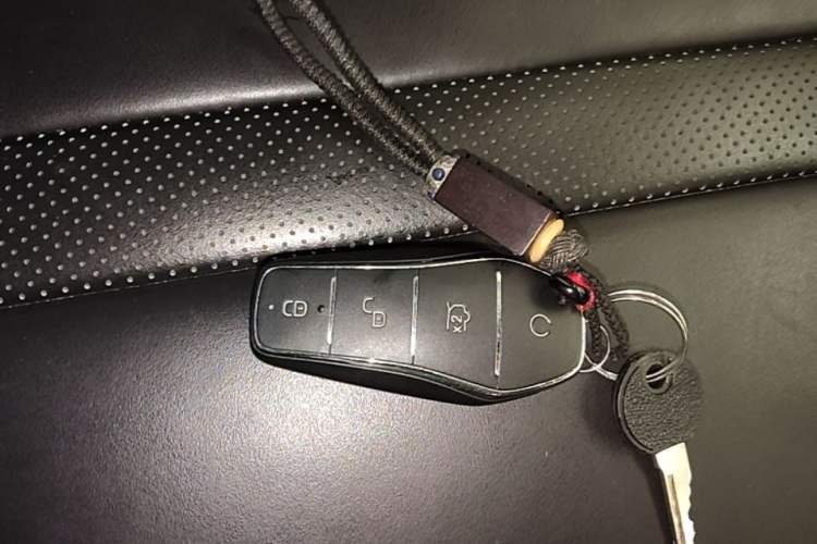 Used BYD Seagull 2023 Flying Edition Vehicle Key