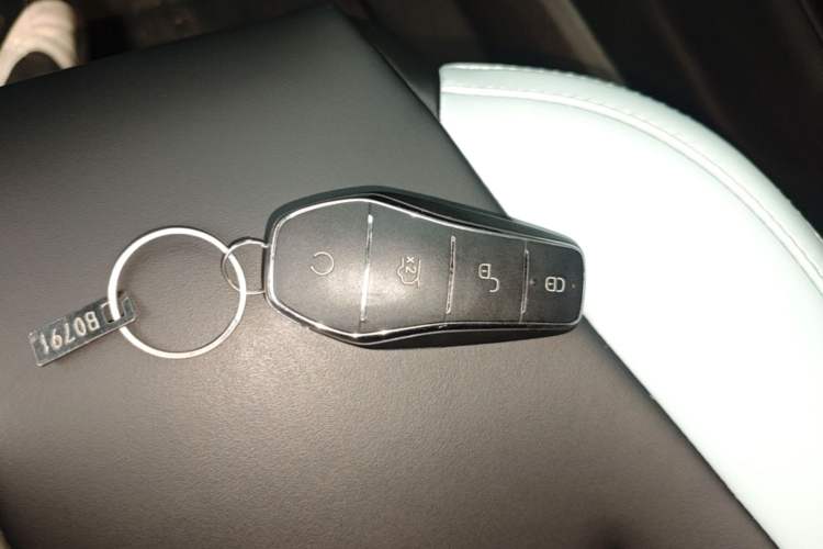 Used BYD Seagull 2023 Free Edition Vehicle Key