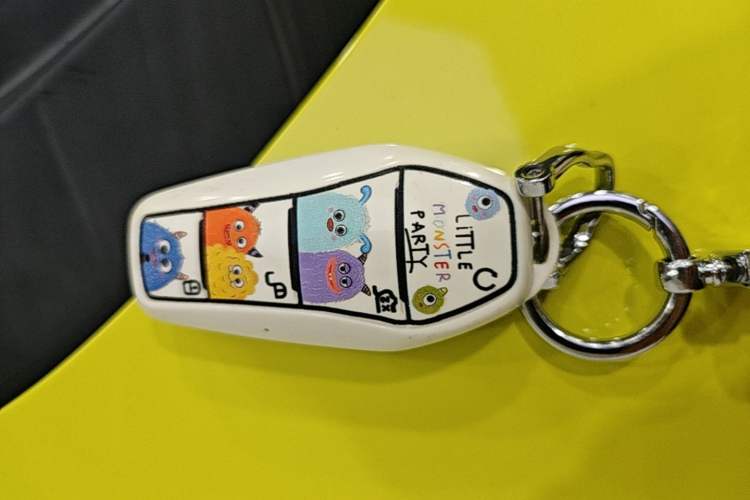 Used BYD Seagull 2023 Flying Edition Vehicle Key