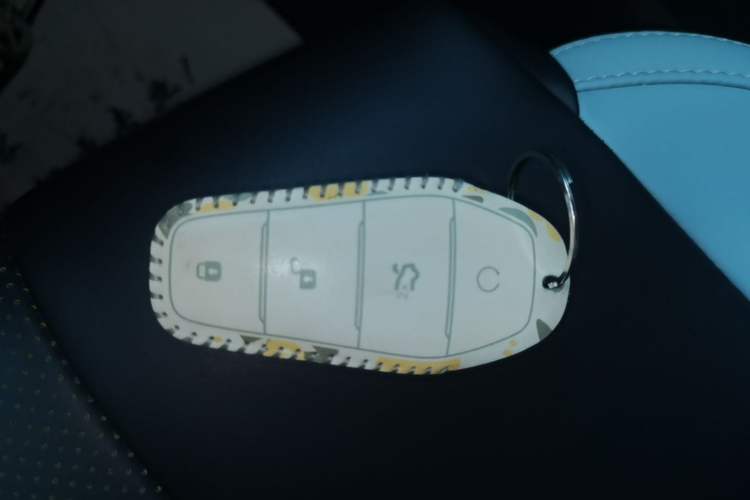 Used BYD Seagull 2023 Free Edition Vehicle Key