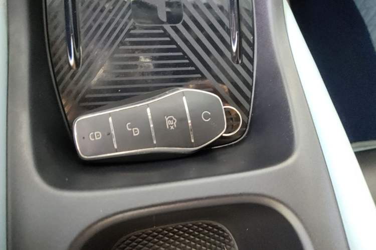 Used BYD Seagull 2023 Flying Edition Vehicle Key