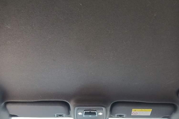 Used BYD Seagull 2023 Flying Edition Headliner