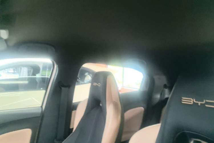 Used BYD Seagull 2023 Free Edition Headliner