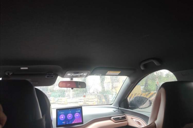 Used BYD Seagull 2023 Free Edition Headliner