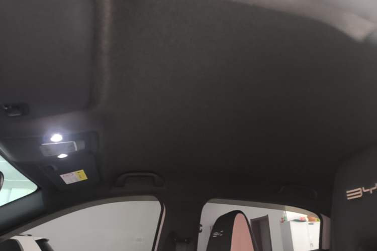 Used BYD Seagull 2023 Free Edition Headliner
