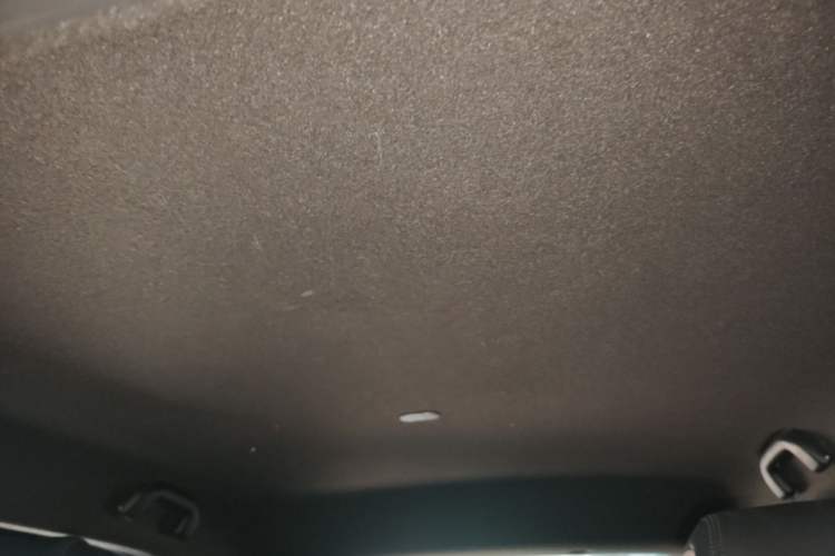 Used BYD Seagull 2023 Free Edition Headliner