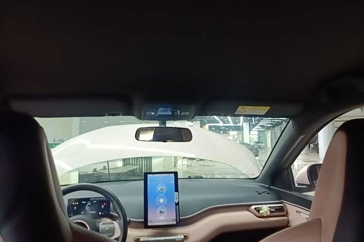 Used BYD Seagull 2023 Free Edition Headliner