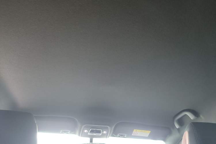 Used BYD Seagull 2023 Flying Edition Headliner