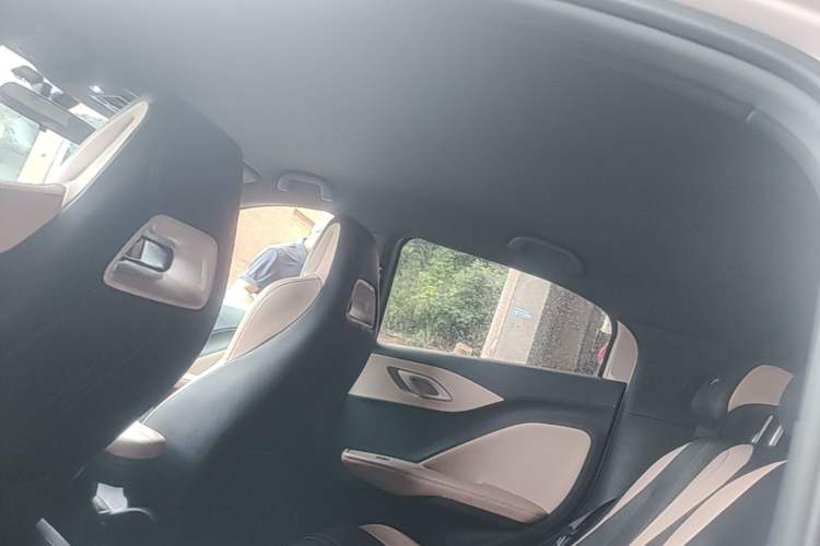 Used BYD Seagull 2023 Flying Edition Headliner