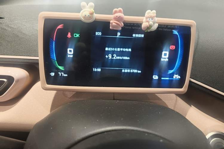 Used BYD Seagull 2023 Free Edition Instrument Cluster