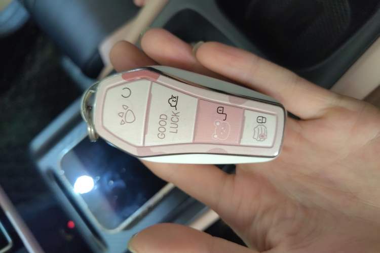 Used BYD Seagull 2023 Active Version Interior 1