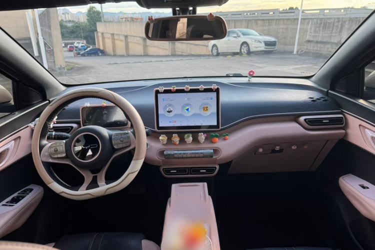 Used BYD Seagull 2023 Flying Edition Interior 2