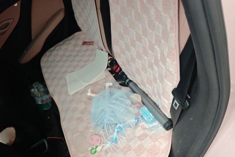 Used BYD Seagull 2023 Flying Edition Interior 4