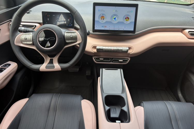 Used BYD Seagull 2023 Active Version Interior 6