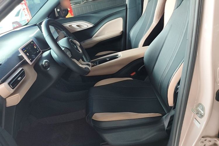 Used BYD Seagull 2023 Free Edition Left Front Seat