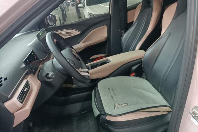 Used BYD Seagull 2023 Free Edition Left Front Seat