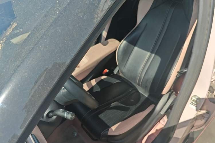 Used BYD Seagull 2023 Free Edition Left Front Seat