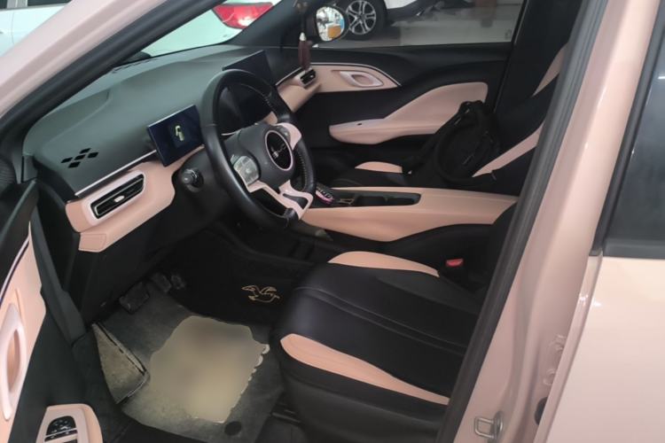 Used BYD Seagull 2023 Free Edition Left Front Seat