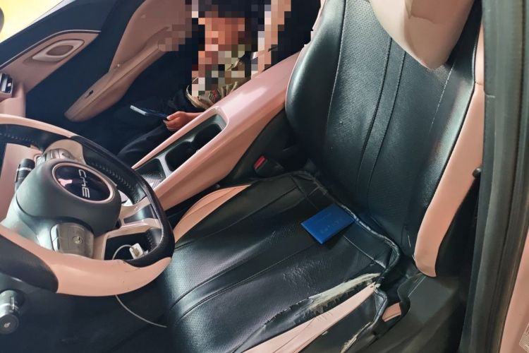 Used BYD Seagull 2023 Flying Edition Left Front Seat