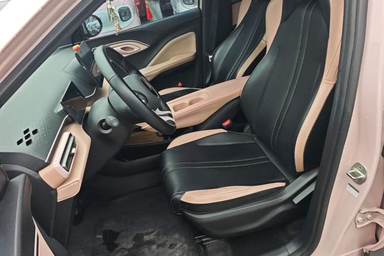 Used BYD Seagull 2023 Free Edition Left Front Seat