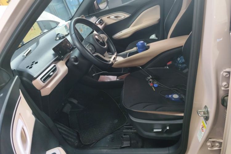 Used BYD Seagull 2023 Flying Edition Left Front Seat