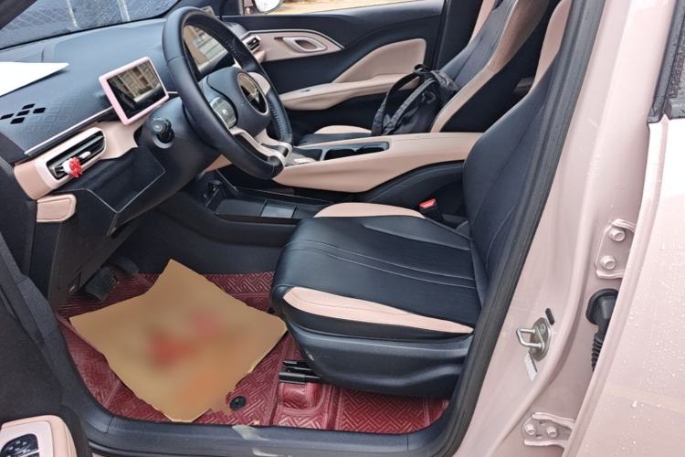 Used BYD Seagull 2023 Free Edition Left Front Seat