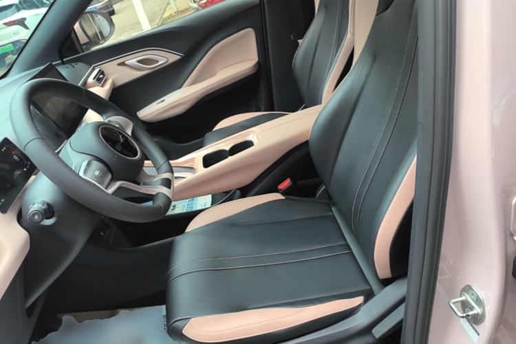 Used BYD Seagull 2023 Active Version Left Front Seat