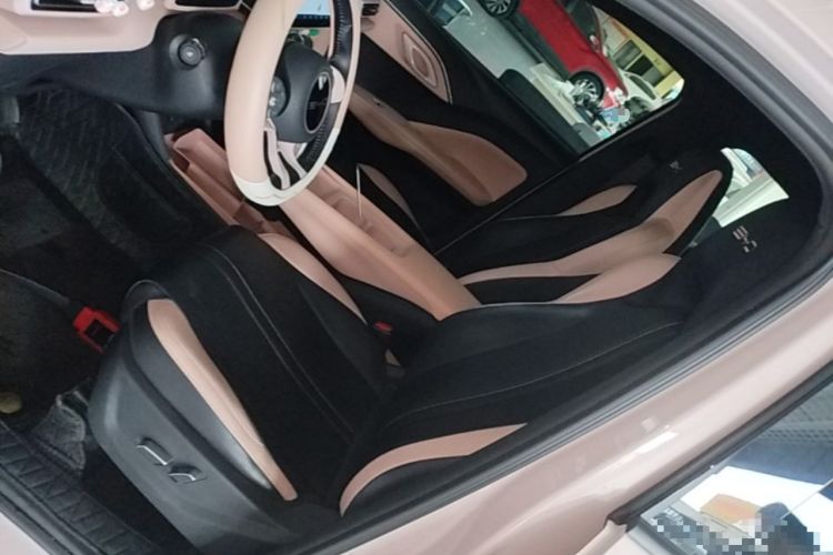 Used BYD Seagull 2023 Flying Edition Left Front Seat