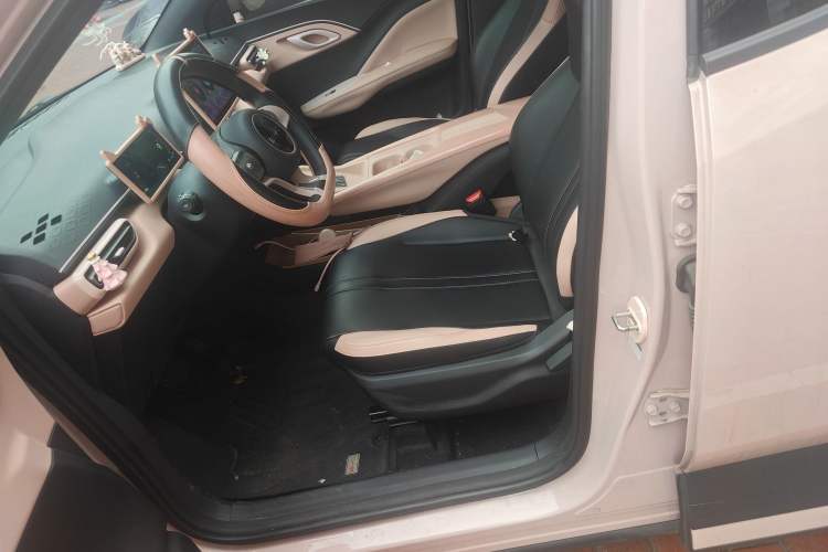 Used BYD Seagull 2023 Active Version Left Front Seat