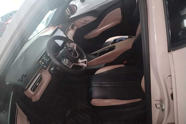 Used BYD Seagull 2023 Active Version Left Front Seat