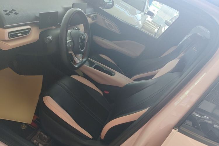 Used BYD Seagull 2023 Free Edition Left Front Seat