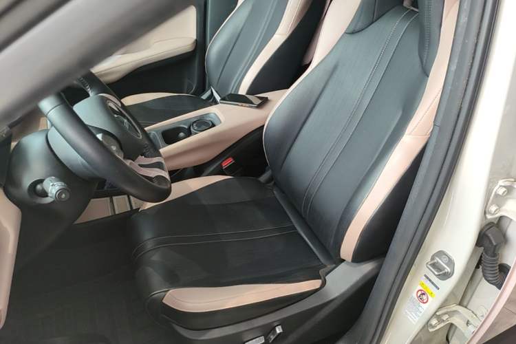 Used BYD Seagull 2023 Flying Edition Left Front Seat