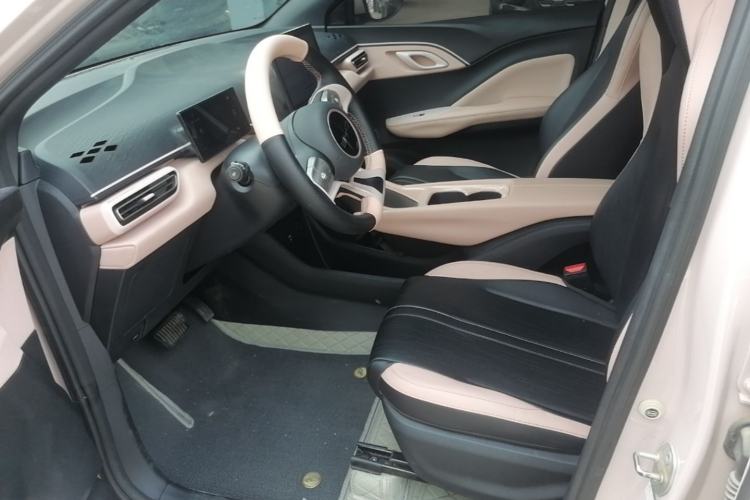 Used BYD Seagull 2023 Active Version Left Front Seat