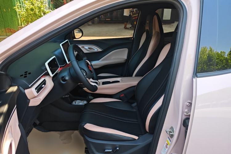 Used BYD Seagull 2023 Flying Edition Left Front Seat