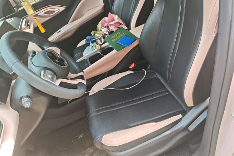 Used BYD Seagull 2023 Active Version Left Front Seat