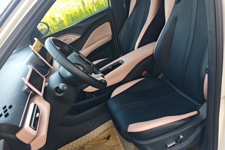 Used BYD Seagull 2023 Flying Edition Left Front Seat