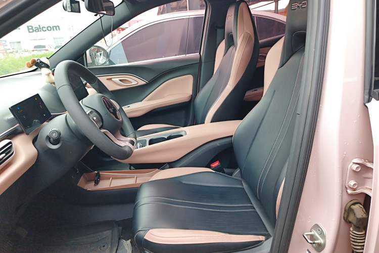 Used BYD Seagull 2023 Active Version Left Front Seat