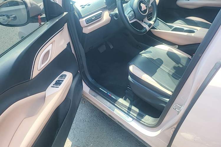 Used BYD Seagull 2023 Free Edition Left Front Seat
