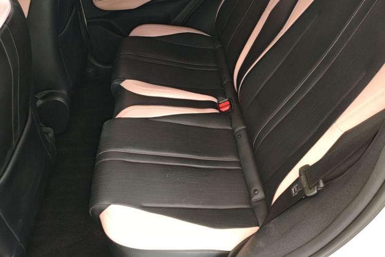 Used BYD Seagull 2023 Free Edition Left Rear Seat