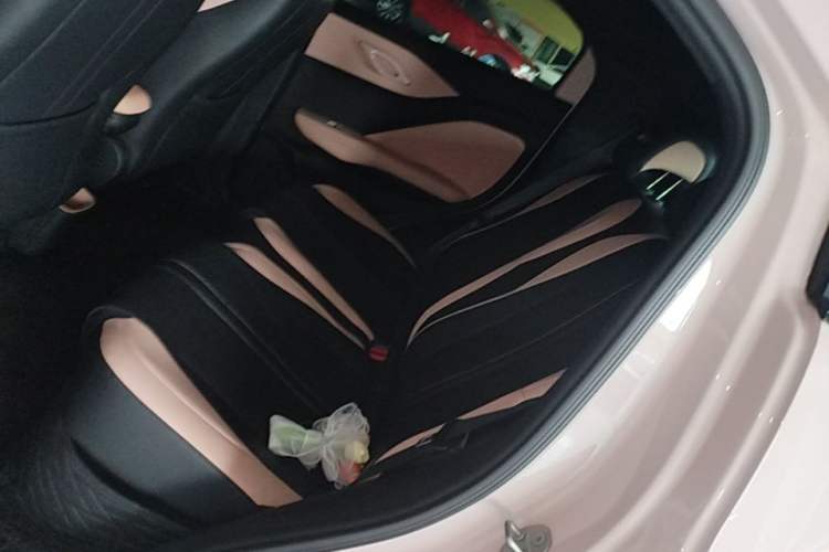 Used BYD Seagull 2023 Flying Edition Left Rear Seat