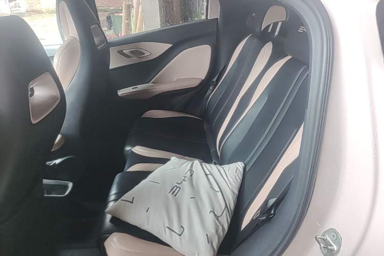 Used BYD Seagull 2023 Flying Edition Left Rear Seat