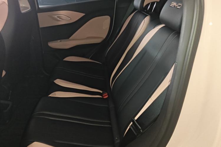 Used BYD Seagull 2023 Flying Edition Left Rear Seat