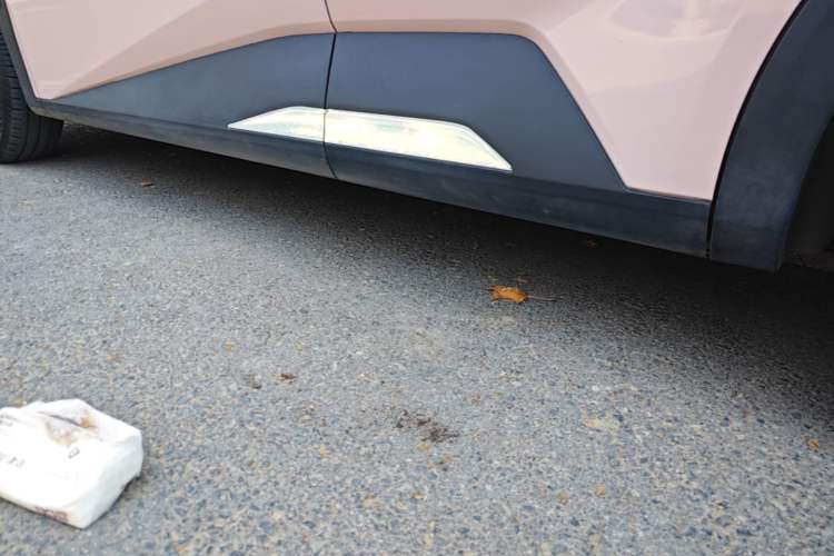 Used BYD Seagull 2023 Flying Edition Left Side Sill